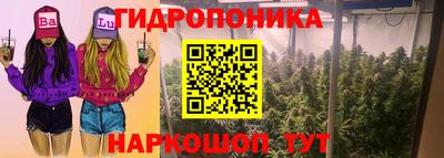гашик Будённовск
