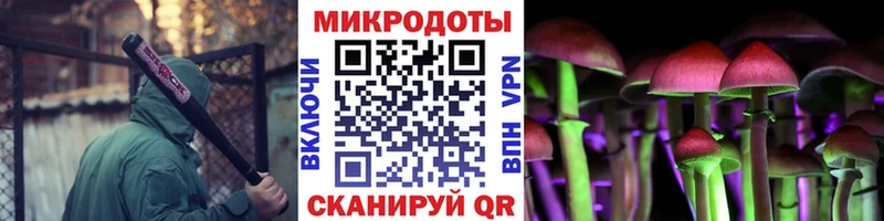 Псилоцибиновые грибы прущие грибы наркошоп Кувандык