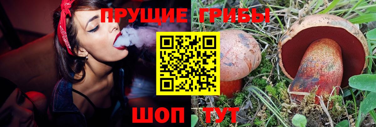 Псилоцибиновые грибы мухоморы Кувандык